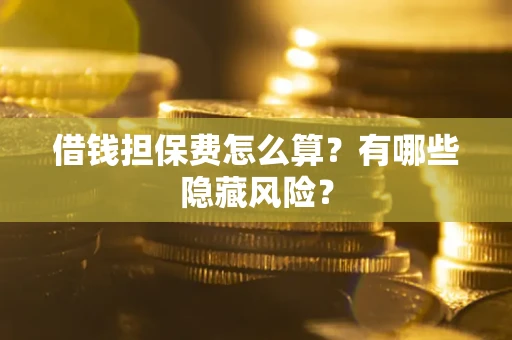 武汉借钱担保费怎么算？有哪些隐藏风险？