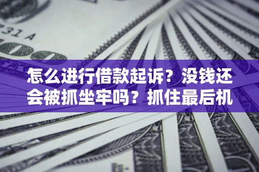 武汉怎么进行借款起诉？没钱还会被抓坐牢吗？抓住最后机会！