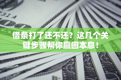 武汉借条打了还不还？这几个关键步骤帮你赢回本息！