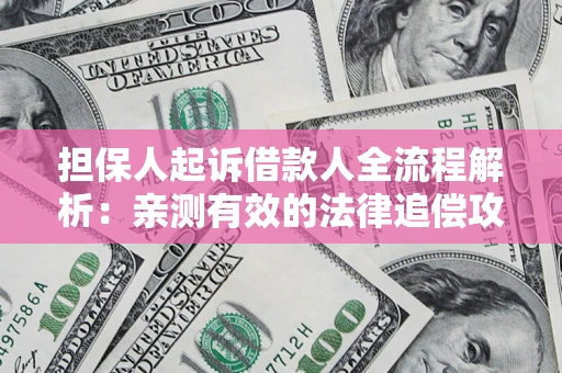 武汉担保人起诉借款人全流程解析：亲测有效的法律追偿攻略