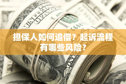 武汉担保人如何追偿？起诉流程有哪些风险？