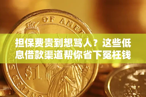 武汉担保费贵到想骂人？这些低息借款渠道帮你省下冤枉钱