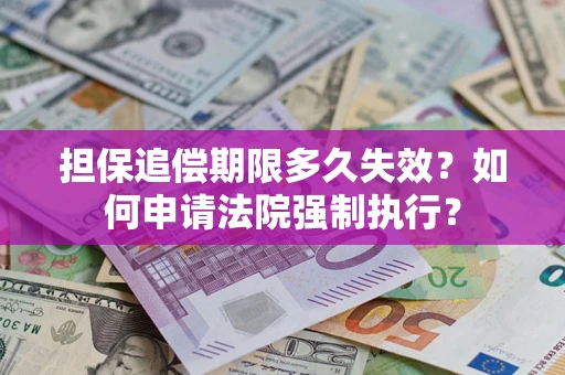 武汉担保追偿期限多久失效？如何申请法院强制执行？