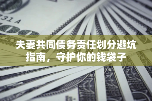 武汉夫妻共同债务责任划分避坑指南，守护你的钱袋子