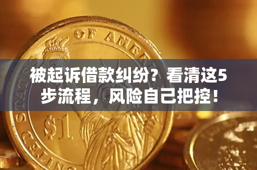 武汉被起诉借款纠纷？看清这5步流程，风险自己把控！