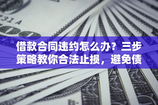 武汉借款合同违约怎么办？三步策略教你合法止损，避免债务危机升级