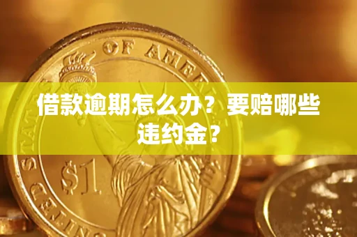 武汉借款逾期怎么办？要赔哪些违约金？